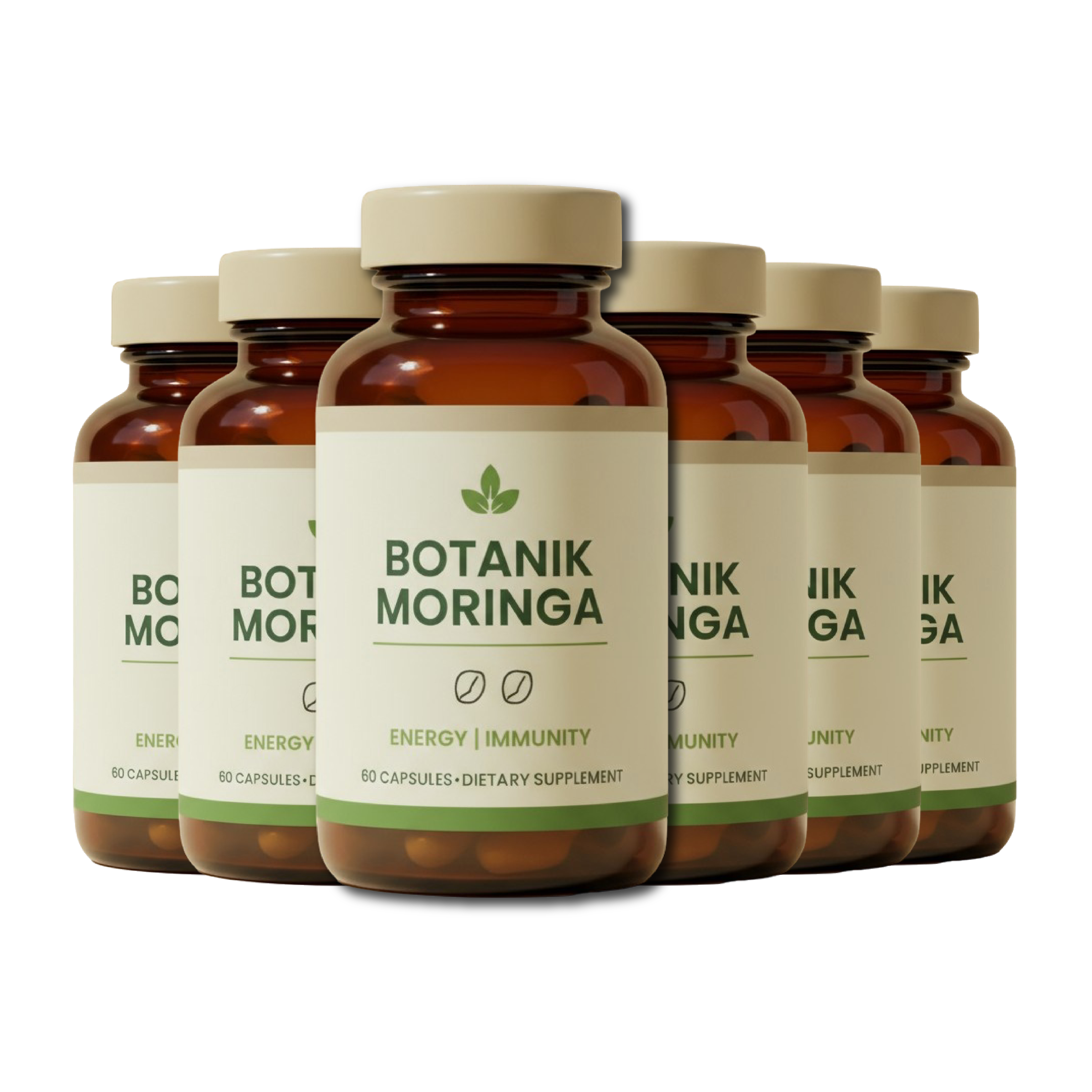Botanik moringa